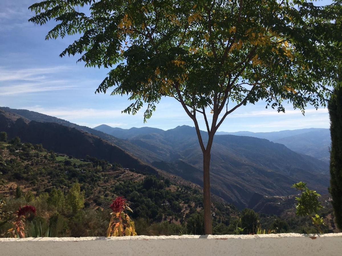 Pinos del Valle Jardin Andaluz Appart Alhambra מראה חיצוני תמונה